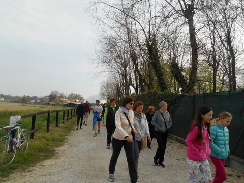 DSCN4168