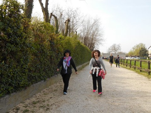 DSCN4266