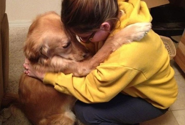 pet-therapy