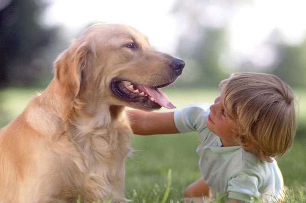 pet_teraphy
