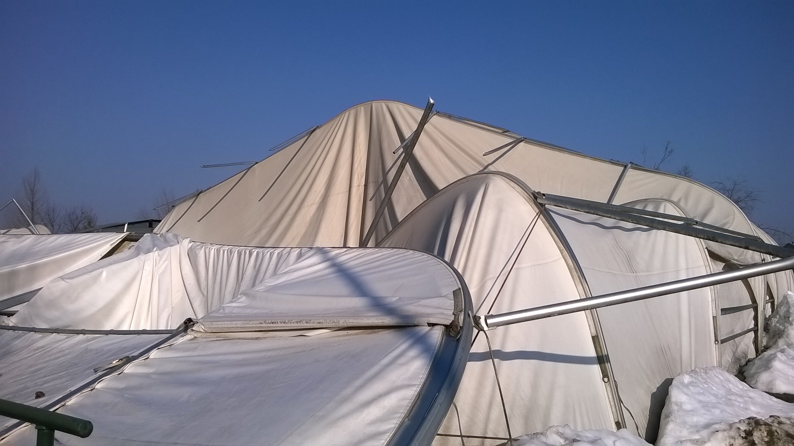 WP_20150218_003.jpg
